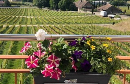 Mont-sur-Rolle Apartamento | Mont-sur-Rolle Apartment with panoramic view
