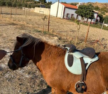 Vila Vicosa Casa | Monte da Rochela