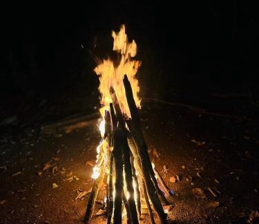 Udumbanchola Cama Y Desayuno | Monte Sereno Munnar