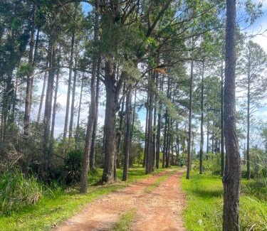 Pinheira Cama Y Desayuno | Morada Fênix