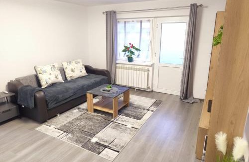 Sfantu Gheorghe Apartamento | Morningstar Central