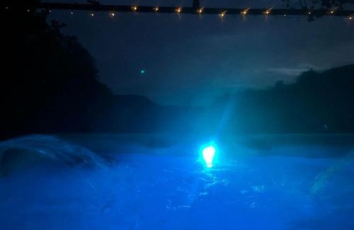 Carmarthen Otro | 'Morris' the shepherd's hut and woodland hot tub experience