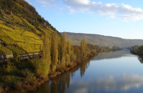 Thornich Apartamento | Mosel Ferienresidenz ZickZack