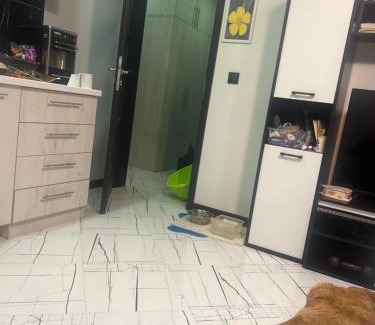 Bozhurishte Casa | MOTEL Route 80