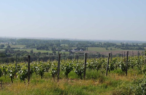 Bellevigne-en-Layon Cama Y Desayuno | Moulin de la Placette