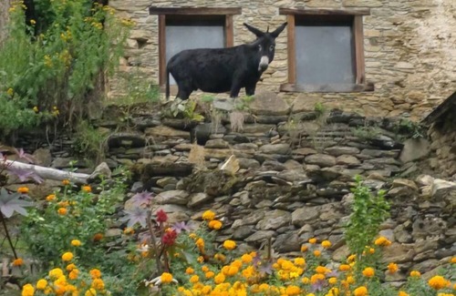 Bonac-Irazein Cabaña | Casa / apartamento rural - BONAC-IRAZIEN