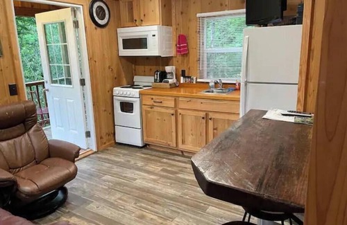 Topton Cabina | Mountain Hideaway Cabin 221