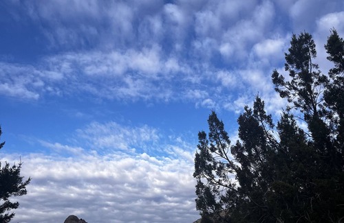 Mule Creek Alquiler De RV | Mountain Ranch Retreat