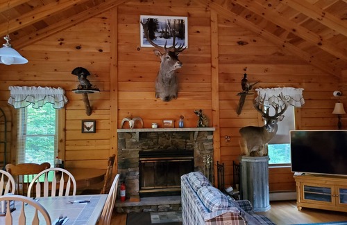 Equinunk Casa | Mountain sanctuary. 3 bedroom country getaway in the Poconos. 18+ acres