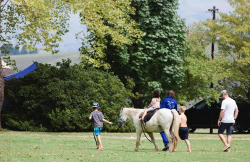 Cathkin Park Otro | Mountain Splendour Eco Resort