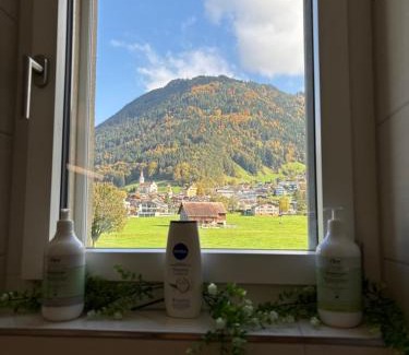 Schattdorf Apartamento | Mountain View Apartment