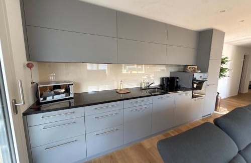 Schattdorf Apartamento | Mountain View Apartment