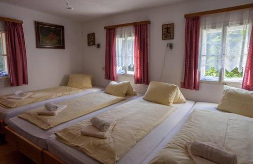 Muhlbach im Pinzgau Casa | Mountain-view Cottage Sleeps 15 -Balcony -Pets Ok