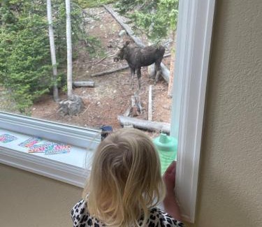Alma Chalet De Esquí | Mountain View Family Cabin, Pet Friendly and Hot Tub