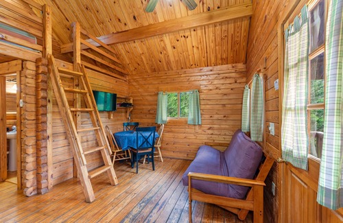 Rileyville Cabina | Mountain Views, River Frontage & HotTub + Country!