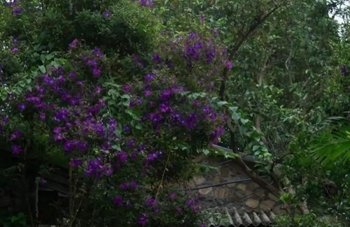 Vagamon Cabaña | Mountain Villa - Stone Cottage