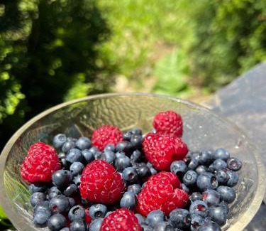 Zlatibor Villa | Mountain Villa Udovicic