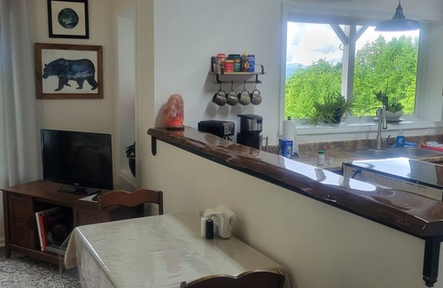 Rosman Apartamento | Mountaintop suite, mountain views, one level, King bed, pet friendly, accessible
