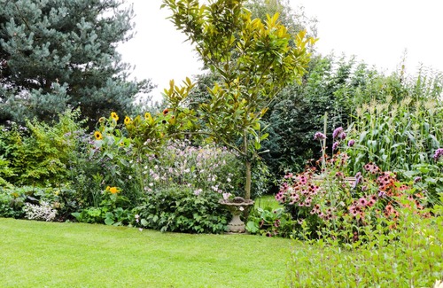 Clenchwarton Cabaña | Mrs Dale's Cottage