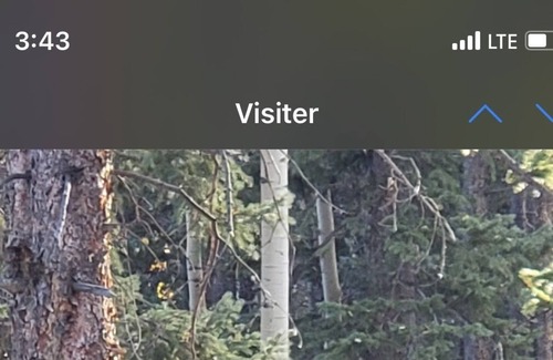 Idaho Springs Cabina | monte Cabaña Evans con 150 acres, arroyo, vistas increíbles, esquí, una verdadera escapada