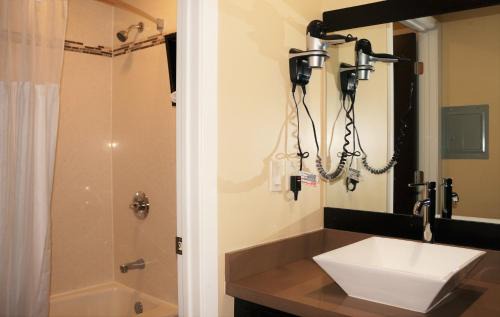 Almonte Hotel | Muir Woods Lodge