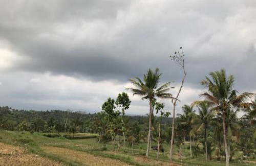 Kecamatan Montong Gading Casa | Muni's Terrace Bungalow