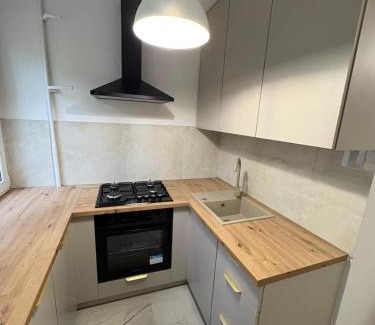 Konin Apartamento | MW Leo Apartament