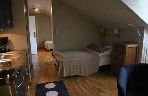Myrkdalen Apartamento | Myrkdalen Resort- studio apartment