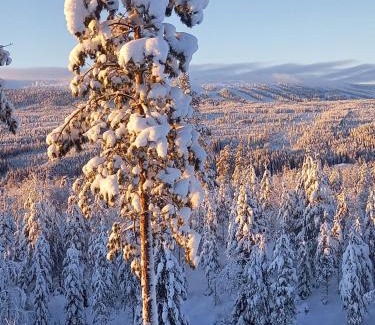Salen Apartamento | Mysig lägenhet med fjällutsikt i Sälen