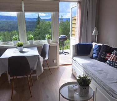 Salen Apartamento | Mysig lägenhet med fjällutsikt i Sälen