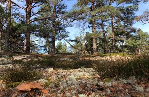 Lur Casa | Mysig och modern Stuga på Snögård, nära havet och naturen