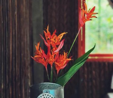 Giong Trom Casa | Nông Trại Thảnh Thơi