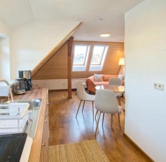 Schneeberg Apartamento | Nachhaltige, veganfreundliche Unterkunft direkt am Bergbaulehrpfad in Schneeberg