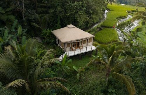 Penebel Otro | Nadi Nature Resort - Adults Only