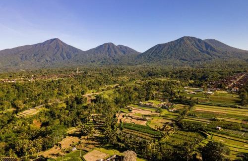 Penebel Otro | Nadi Nature Resort - Adults Only