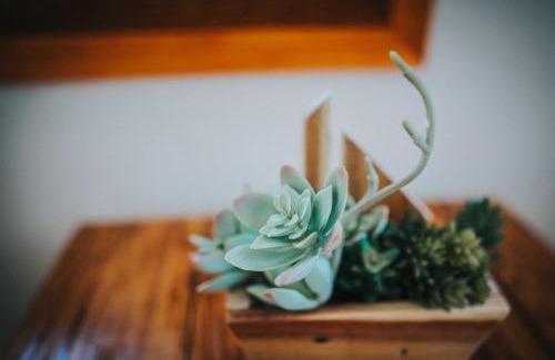 Khanh Hai Casa | Nai's house - Homestay