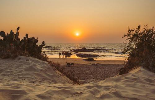 Mandrem Complejo | Nalanda Retreat Goa By Mandrem Beach