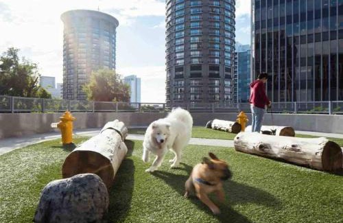 The Gulch Apartamento | Nashville Cental Luxe 2 Bed 2 Bath Suite