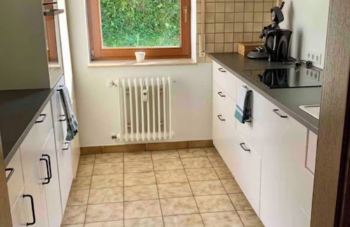 Oberschopfheim Apartamento | Natural apartment next to the vines. Pet friendly. Near Europapark.