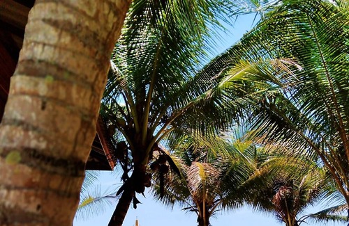 Ban Samphao Casa | Natural High Beach Cafe & Homestay