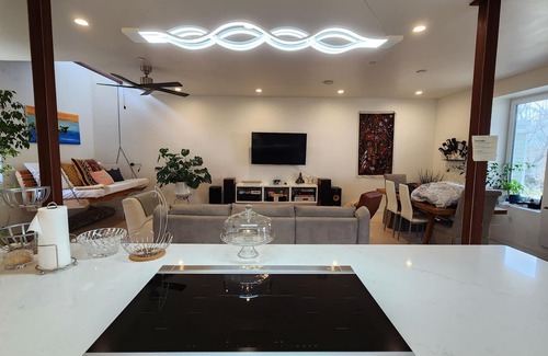 Washington Park Condominio | Natural-Woods Luxury-condo 2Bdrm/ sound proof &Fitness Eqp. Boston