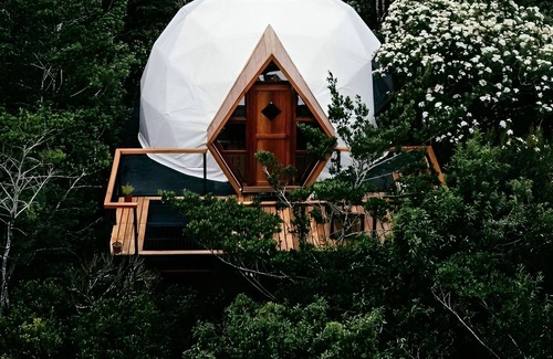 Monteverde Cabina | Naturave #2 Into the woods