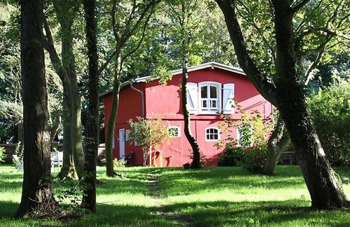 Goor Casa | experiencia de la naturaleza en Rügen costa escarpada