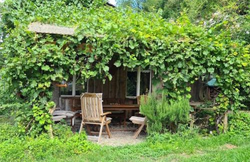 Kradolf-Schonenberg Apartamento | Naturoase Säntisblick-Auszeit am Wald und Bach