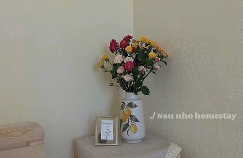 Ngo Quyen Apartamento | Nau Nho Homestay