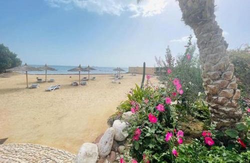 Sakkala Apartamento | Navy Chalets 107