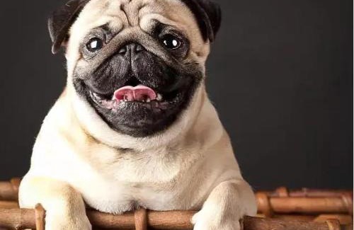 Ekkamai Hotel | Nego Home Ancient Inn