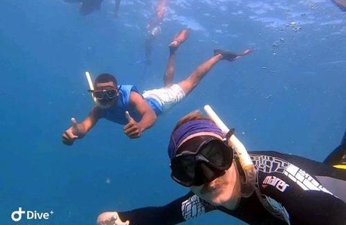 Naviti Island Casa | Nenas Homestay