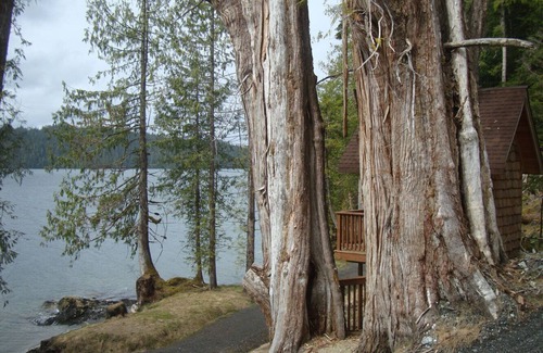 Ketchikan Casa | Nestled At the Top of two famous Totem pole Parks Enjoyable, comfortable house