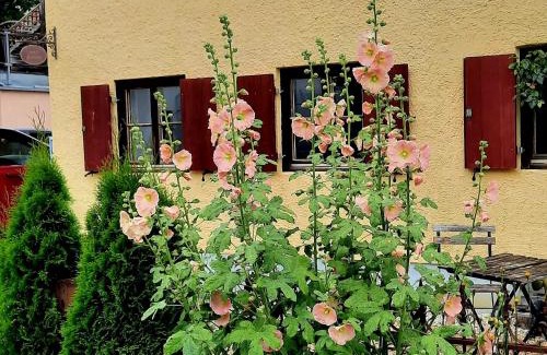 Landsberg am Lech Casa | Nette's Ferienhaus